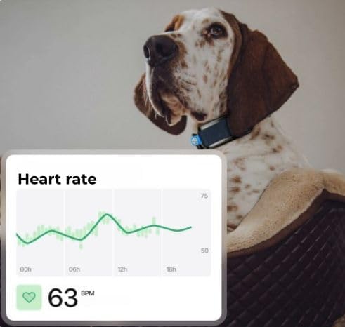 Minitailz - Health & GPS Tracker for Dogs #1 - Cardiac and Respiratory Scan - Real-time Location - Activity and Well-Being Analysis - Compact, Lightweight, and Easy to Install
