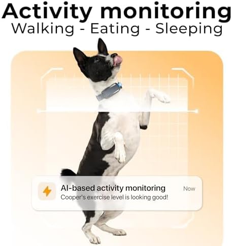 Minitailz - Health & GPS Tracker for Dogs #1 - Cardiac and Respiratory Scan - Real-time Location - Activity and Well-Being Analysis - Compact, Lightweight, and Easy to Install