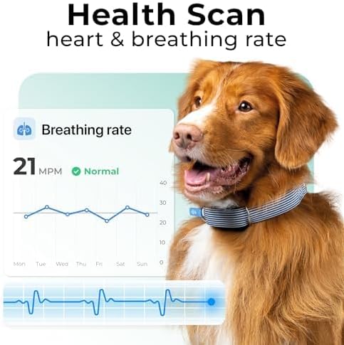 Minitailz - Health & GPS Tracker for Dogs #1 - Cardiac and Respiratory Scan - Real-time Location - Activity and Well-Being Analysis - Compact, Lightweight, and Easy to Install
