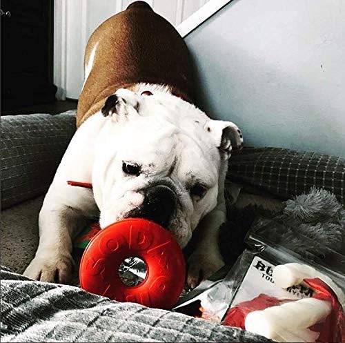 SodaPup Life Ring – Durable Dog Treat Dispenser & Chew Toy Made in USA from Non-Toxic, Pet Safe, Food Safe Natural Rubber Material for Mental Stimulation, Problem Chewing, Calming Nerves, & More