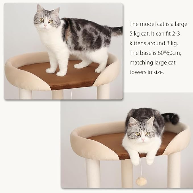 53'' Wooden Cat Tree Tower for Indoor Cats, Modern Natural Wood Cat Furniture with Cozy Beds, Scratching Post and Clear Hammock for Kittens and Adult Cats (White)