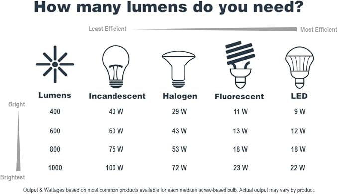 DESIGNERS FOUNTAIN Preston Outdoor Light Fixture, 8 Inch Exterior Wall Lantern Sconce for Front Door, Patio and Porch, Black, 1161-BK