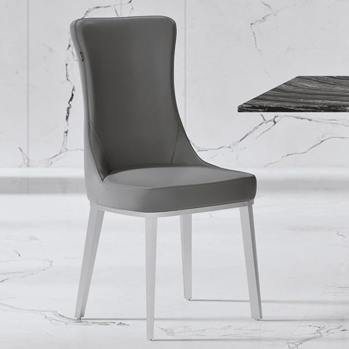 ZURI Modern Norma Dining Chair - Dark Gray with Brushed Stainless Steel Base
