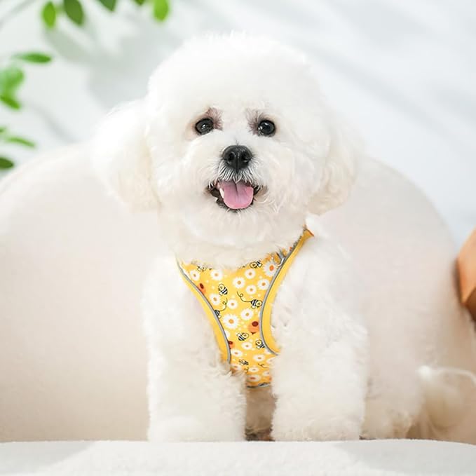 Step in Dog Harness and Leash Set, Flower Adjustable Easy Walk Puppy Harnesses, Soft Mesh Pet Vest Harness Small Size Dog Adjustable No Pull Dog Harness for Small Medium Dogs(Bee, S)
