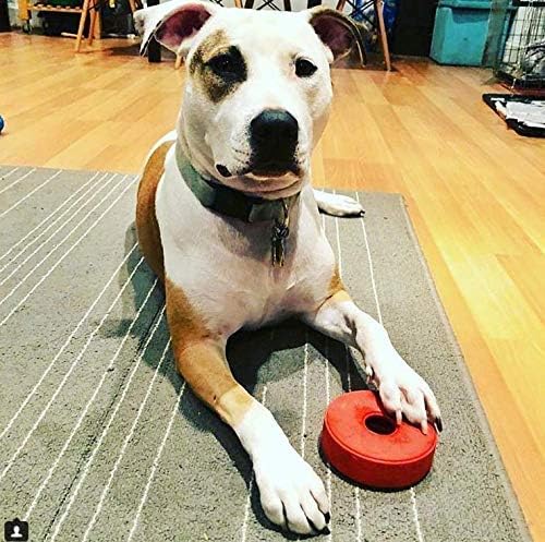 SodaPup Life Ring – Durable Dog Treat Dispenser & Chew Toy Made in USA from Non-Toxic, Pet Safe, Food Safe Natural Rubber Material for Mental Stimulation, Problem Chewing, Calming Nerves, & More