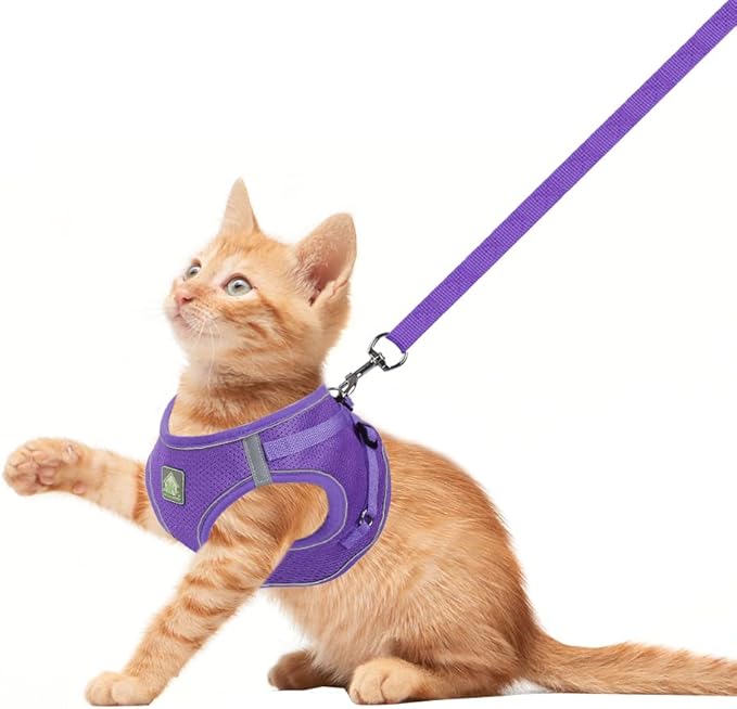 FEimaX Dog Harness and Leash Set, No-Pull Breathable Soft Mesh Puppy Vest Harness Reflective Adjustable Pet Harnesses for Small Medium Dogs and Cats - Outdoor Easy Control for Walking (XL, Purple)