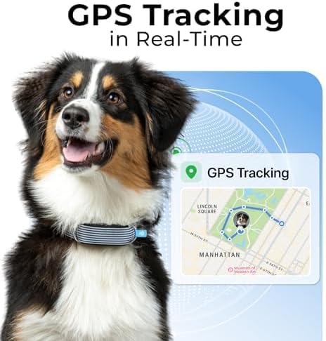 Minitailz - Health & GPS Tracker for Dogs #1 - Cardiac and Respiratory Scan - Real-time Location - Activity and Well-Being Analysis - Compact, Lightweight, and Easy to Install