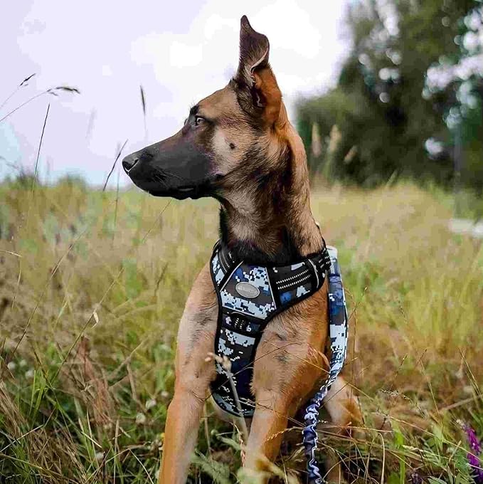 Auroth Tactical Dog Training Harness No Pulling Front Clip Leash Adhesion Reflective K9 Pet Working Vest Easy Control for Small Medium Large Dogs Blue Camo L