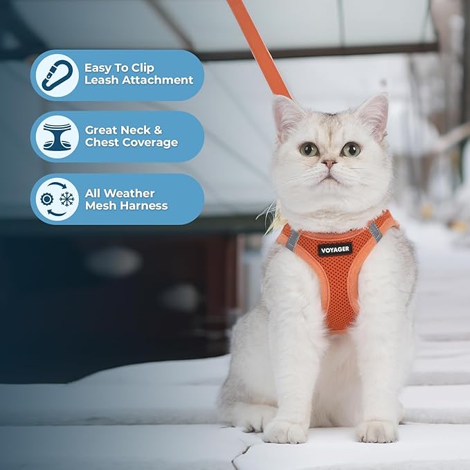 Voyager Step-in Pet Harness - All Weather Mesh, Adjustable Step in Harness for Cats and Dogs by Best Pet Supplies - 307S Orange, M