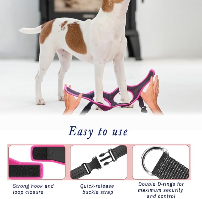 Comfort Fit No Pull Dog Harness for Small Medium & Large Dogs – Soft Padded Adjustable Buckles Step in Pet Harness with Leash Clips Reflective Straps with Easy Control & Handle Pet Vest Harness
