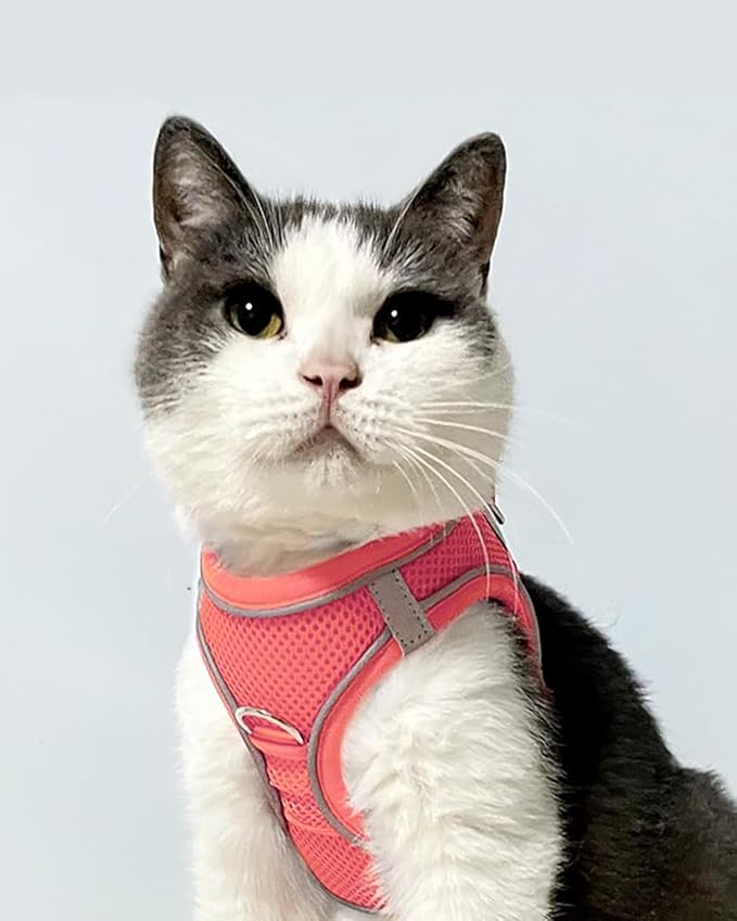 Joytale Small Dog Harness, Breathable Mesh Step-in Vest, Reflective Soft Padded Harnesses for Cats, Puppies and Extra Small Dogs, Pink, XXS