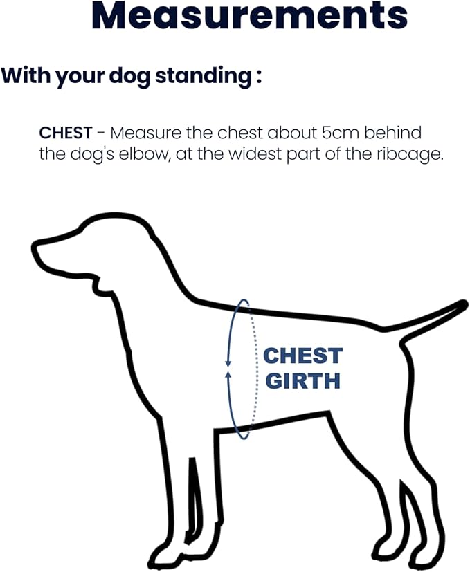 Non Restrictive Dog Harness Medium Size, Easy Walk Freedom No Pull, Keep Balance, Lightweight, Neck Buckle, 2 Clips for Back/Front Clip, Sewn-in Instructions Labels for Easy Use, Purple