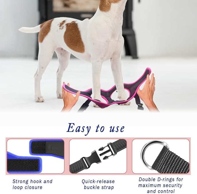 Comfort Fit No Pull Dog Harness – Adjustable Step-in Vest for Small, Medium & Large Dogs, Soft Padded with Leash Clips, Reflective Straps & Handle
