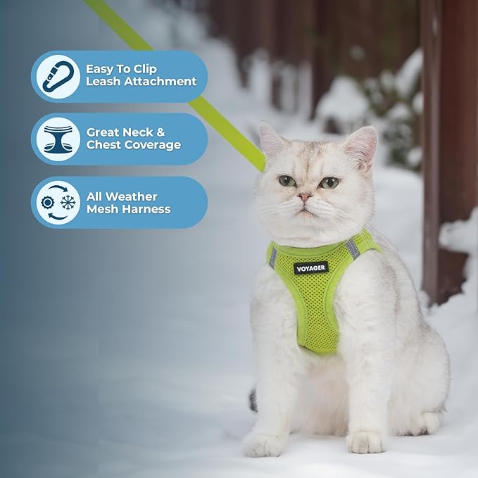 Voyager Step-in Pet Harness - All Weather Mesh, Adjustable Step in Harness for Cats and Dogs by Best Pet Supplies - 307S Lime Green, S