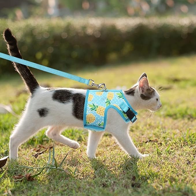 BINGPET Cat Harness - with Leash Included - Mesh Cat Dog Walking Harness Adjustable Harness for Kitties Puppy Harness Adjustable Cat Vest Harness Small Pineapple