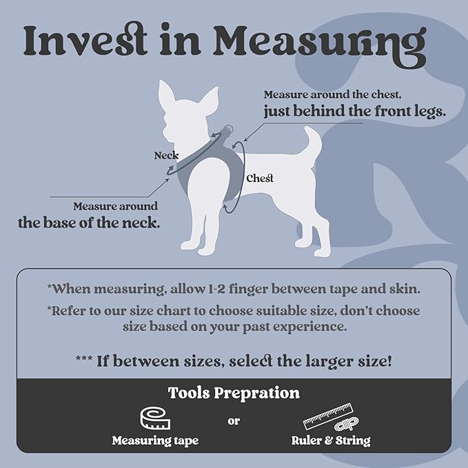 rabbitgoo Small Dog Harness, Step-in Soft Mesh Puppy Vest with Safety Buckle, Breathable Reflective Pet Harness for Small Sized Dogs, Black XS