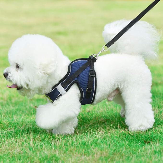 FEimaX Dog Harness and Leash Set, No Pull Breathable Soft Mesh Puppy Vest Harness Reflective Adjustable Pet Harnesses for Small Medium Dogs and Cats - Outdoor Easy Control for Walking