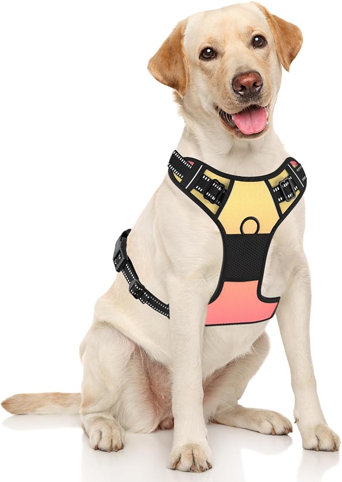 Rnivvi No Pull Dog Harness, Cute Reflective Medium Sized Puppy Harness, Adjustable Soft Padded Vest for Medium Dogs, Heavy Duty Pet Vest with Easy Control Handle for Walking, Abstract Gradient