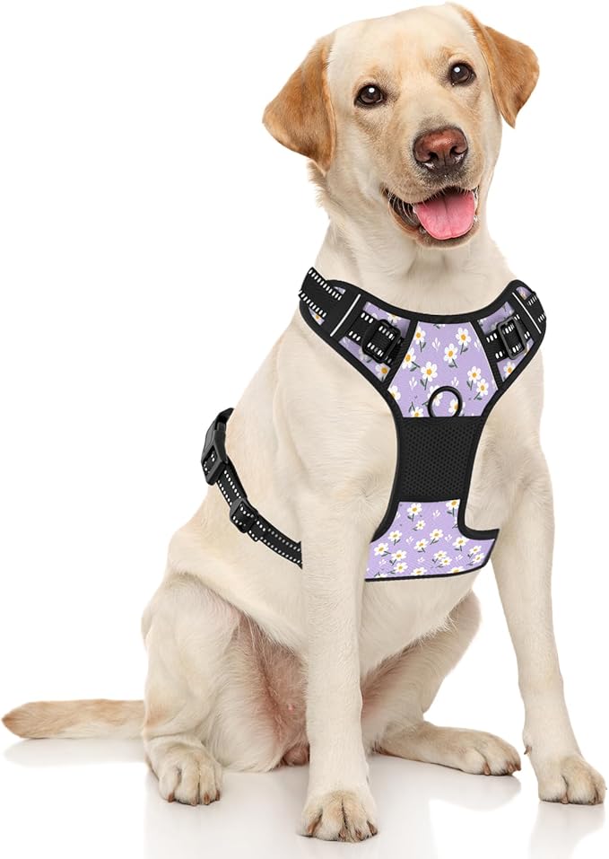 Rnivvi No Pull Dog Harness, Cute Flower Reflective Large Sized Puppy Harness, Adjustable Soft Padded Vest for Large Dogs, Heavy Duty Pet Vest with Easy Control Handle for Walking, Purple White