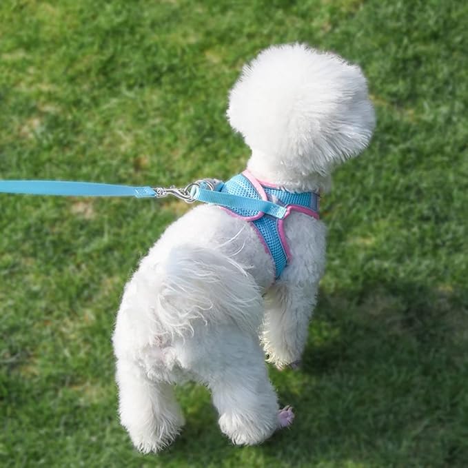 XSmall Dog Harness and Leash Set, No-Pull Puppy Harness for Easy Walk, Breathable Mesh Reflective Cat Vest for XXS Xs Small Medium Breed Pet Dogs, Pink Blue XS