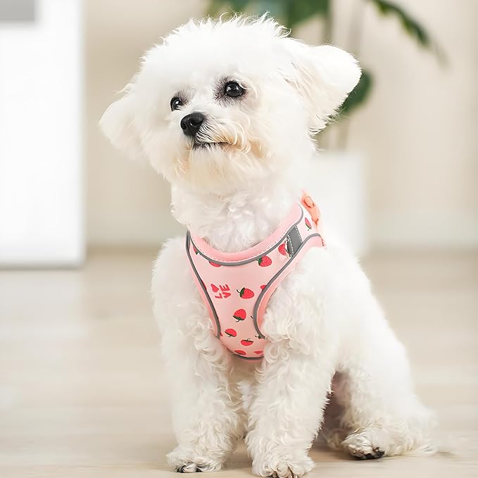 Step in Dog Harness and Leash Set, Flower Adjustable Easy Walk Puppy Harnesses, Soft Mesh No Pull Pet Vest Harness for Small Medium Dogs(Strawberry, S)