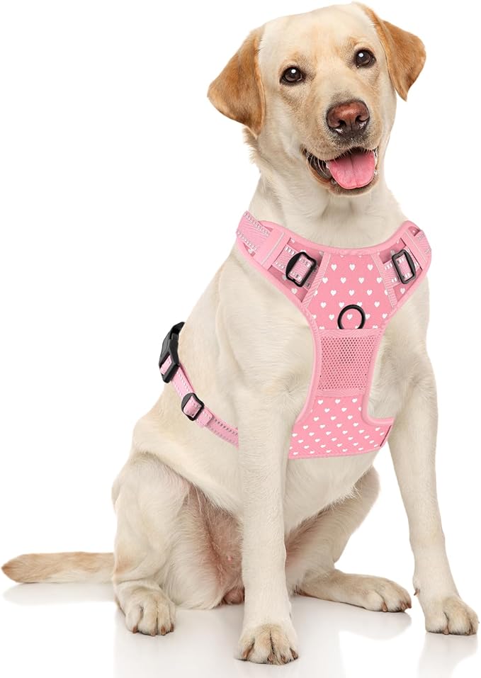 Rnivvi No Pull Dog Harness, Cute Reflective Medium Sized Puppy Kitten Harness, Adjustable Soft Padded Vest for Medium Dogs, Heavy Duty Pet Vest with Easy Control Handle for Walking, Pink Hearts