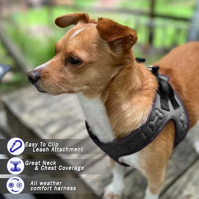 Comfort fit Step-in Dog & Puppy Harness - Comfortable All Weather Dog Vest Harness: Adjustable, Soft Padded, Easy to Put-on for Small, Medium-Sized Dogs.
