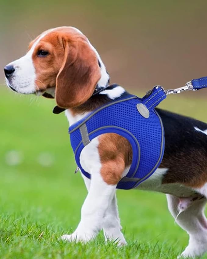 Joytale Small Dog Harness, Breathable Mesh Step-in Vest, Reflective Soft Padded Harnesses for Medium Dogs, Navy Blue, XL