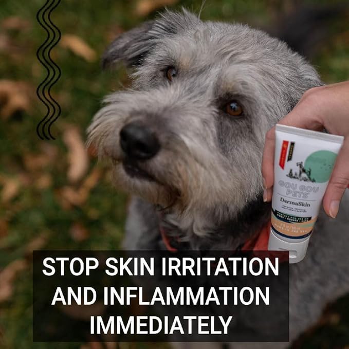 DermaSkin Dermatitis Ointment Holistic Natural Derived Herbal Pet Care for Dogs, Cats and Horses: Relieves Rash, Crusting, Dry Skin, Skin Problems and Skin Conditions - Made in USA - 2 oz