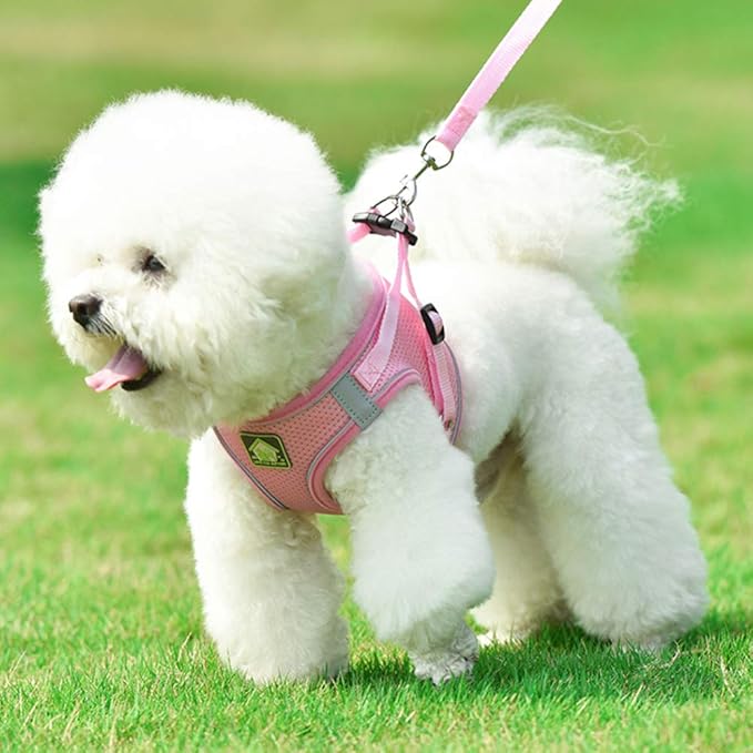 FEimaX Dog Harness and Leash Set, No Pull Breathable Soft Mesh Puppy Vest Harness Reflective Adjustable Pet Harnesses for Small Medium Dogs and Cats - Outdoor Easy Control for Walking