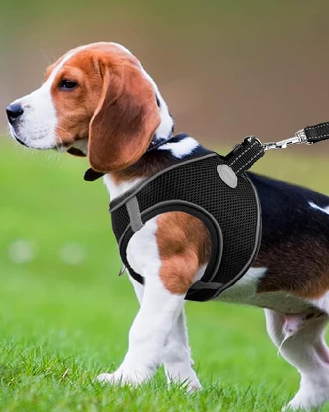 Joytale Small Dog Harness, Breathable Mesh Step-in Vest, Reflective Soft Padded Harnesses for Medium Dogs, Black, XL