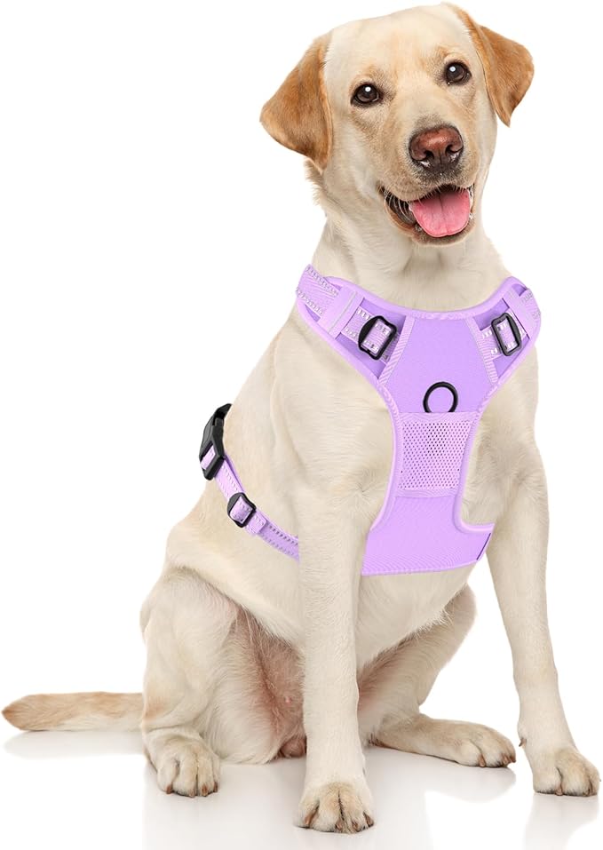 Rnivvi No Pull Dog Harness, Cute Reflective Medium Sized Puppy Kitten Harness, Adjustable Soft Padded Vest for Medium Dogs, Heavy Duty Pet Vest with Easy Control Handle for Walking, Purple