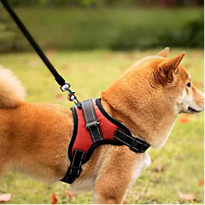 Auto - Retractable Pet Harness Vest & Leash Set | Multi - Color Options | Free Catnip Fish/Dog Bell Ball Toy (Red, Medium)