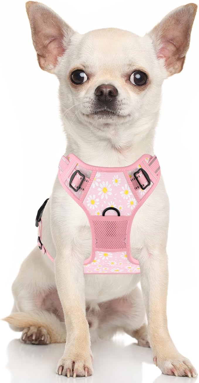 Rnivvi No Pull Dog Harness, Cute Flower Reflective X-Small Sized Puppy Harness, Adjustable Soft Padded Vest for Small Dogs, Cats, Heavy Duty Pet Vest with Easy Control Handle for Walking, Pink Floral