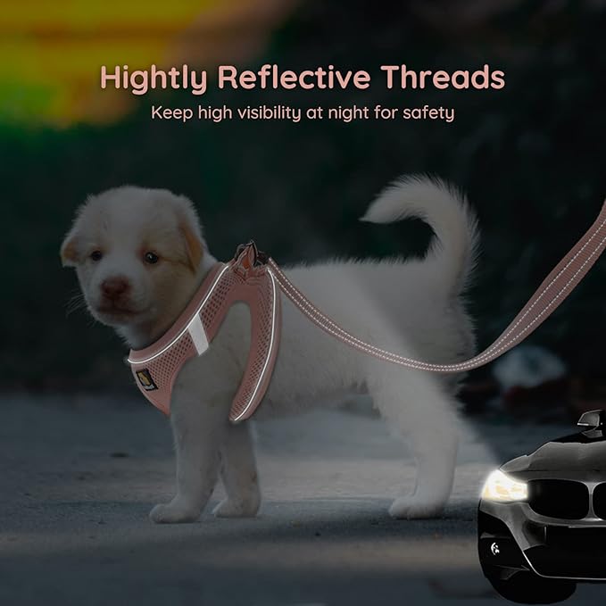 BELLA & PAL Step in Vest Harness for Small and Medium Dogs, No Pull Small Dog Harness with Leash Set, Comfortable Air Mesh Dog Vest Harness with Reflective Strip (Coral Pink, L)