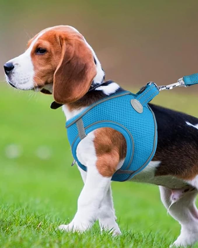 Joytale Small Dog Harness, Breathable Mesh Step-in Vest, Reflective Soft Padded Harnesses for Medium Dogs, Sky Blue, XL