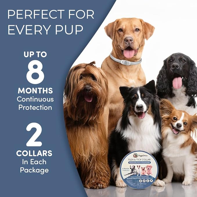 Natural Flea and Tick Collar for Dogs & Cats – 8 Month Protection – Waterproof, Adjustable – 2 Pack – Essential Oils, Chemical-Free, Safe for Pets, People & The Planet