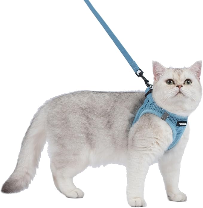 Voyager Step-in Air Cat Leash Harness Set - All Weather Mesh, Step in Vest Harness for Small and Large Cats by Best Pet Supplies - Baby Blue, S (Chest 14-16")