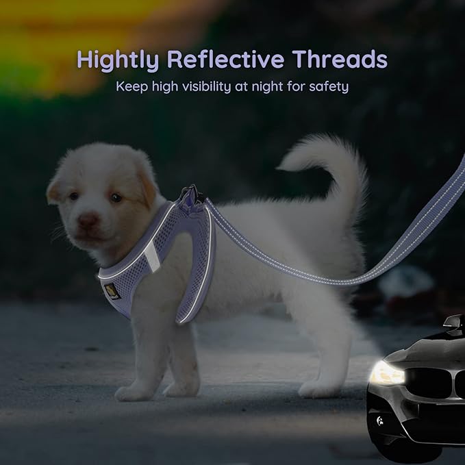 BELLA & PAL Step in Vest Harness for Small and Medium Dogs, No Pull Small Dogs Harness with Leash Set, Comfortable Air Mesh Dog Vest Harness with Reflective Strip (Lavender, M)