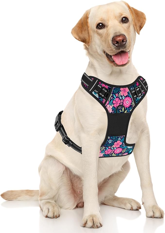 Rnivvi No Pull Dog Harness, Cute Flower Reflective X-Large Sized Puppy Harness, Adjustable Soft Padded Vest for Large Dogs, Heavy Duty Pet Vest with Easy Control Handle for Walking Training, Elegant