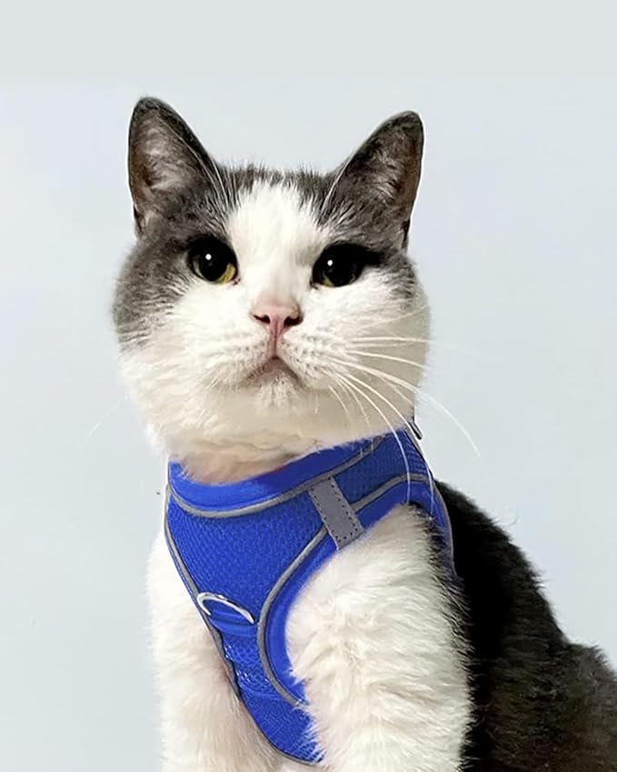 Joytale Small Dog Harness, Breathable Mesh Step-in Vest, Reflective Soft Padded Harnesses for Cats, Puppies and Extra Small Dogs, Navy Blue, XXS