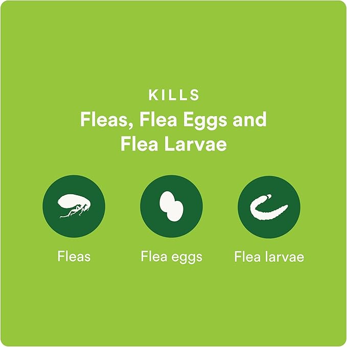 Advecta Plus Topical Flea Treatment for Cats and Kittens, Flea Prevention and Control, Small & Large, Fast-Acting Waterproof Drops, 6-Month Supply