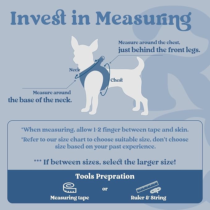rabbitgoo Small Dog Harness, Step-in Soft Mesh Puppy Vest with Safety Buckle, Breathable Reflective Pet Harness for Small Medium Dogs, Navy Blue XL
