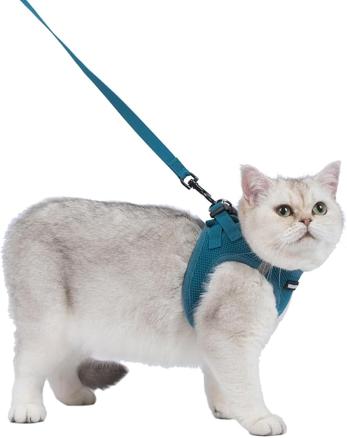 Voyager Step-in Pet Harness - All Weather Mesh, Adjustable Step in Harness for Cats and Dogs by Best Pet Supplies - 307S Turquoise, S