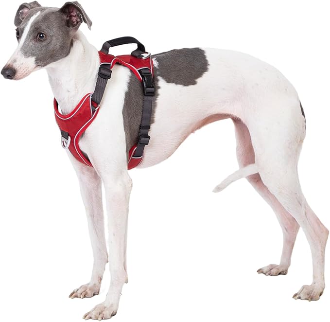 No Pull Dog Harness with Back Control Handle for Large Dogs, Reflective Vest, Adjustable and Padded, Easy Walk Front/Back Clips (Red, Large)