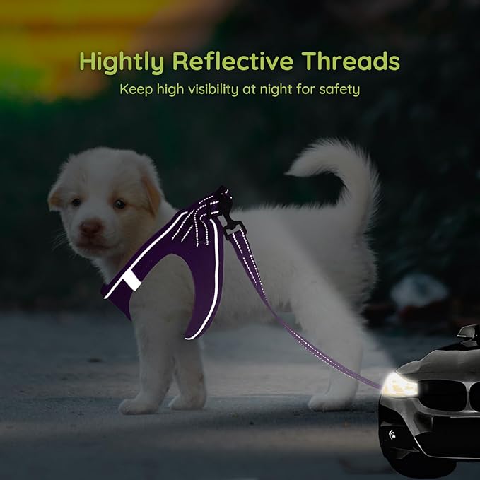 BELLA & PAL Step in Vest Harness for Small and Medium Dogs, No Pull Small Dog Harness with Leash Set, Comfortable Air Mesh Dog Vest Harness with Reflective Strip (Grape Purple, XS)