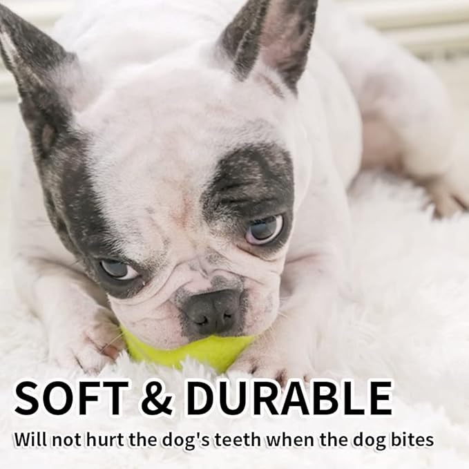 ptlsy Dog Ruber Balls 16 Pack Pet Mini Tennis Ball for Small Medium Dogs Fetching (2 inch)