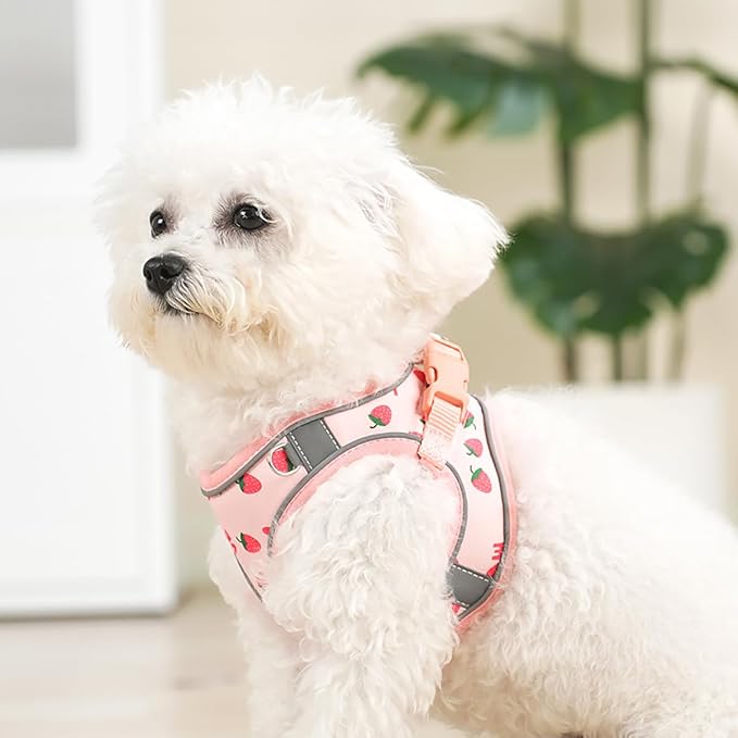 Step in Dog Harness and Leash Set, Flower Adjustable Easy Walk Puppy Harnesses, Soft Mesh No Pull Pet Vest Harness for Small Medium Dogs(Strawberry, S)