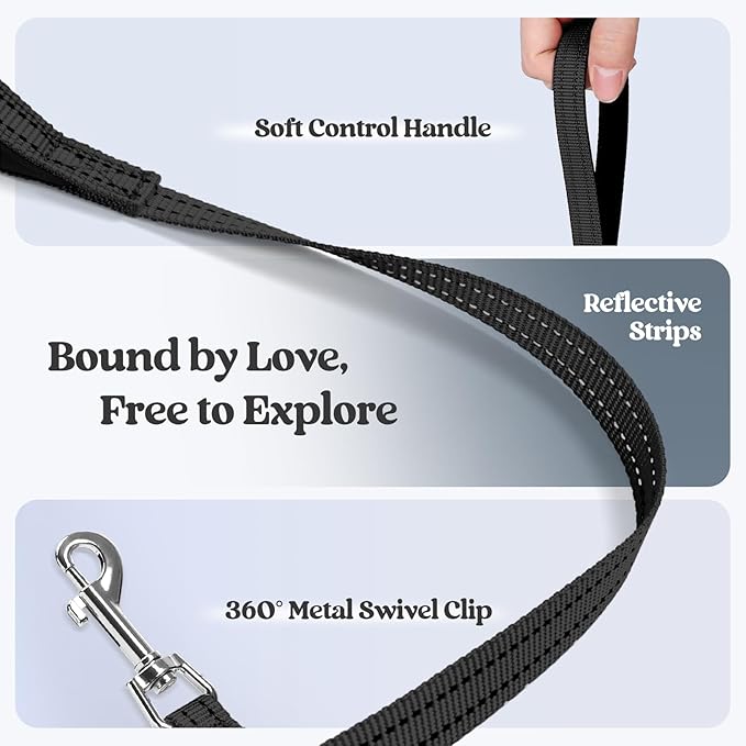 rabbitgoo Dog Harness Small Sized and Leash Set, Step in Soft Light Puppy Vest, Breathable Mesh Pet Harness, Reflective for Outdoor Safe Walking, Black XL