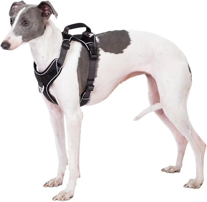 No Pull Dog Harness with Back Control Handle for Large Dogs, Reflective Vest, Adjustable and Padded, Easy Walk Front/Back Clips(Black, X-Large)
